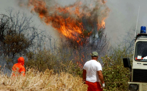 INCENDI: SALGONO A DUE I MORTI IN SARDEGNA